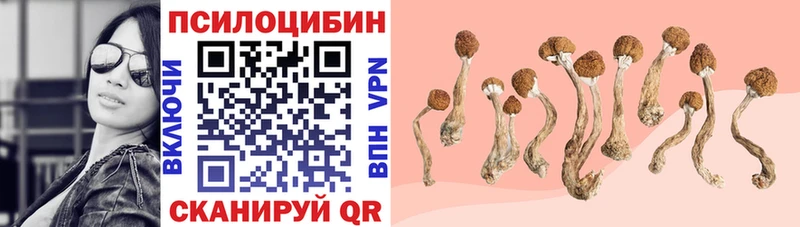 дарнет шоп блэк спрут Псилоцибиновые грибы мухоморы Приморск